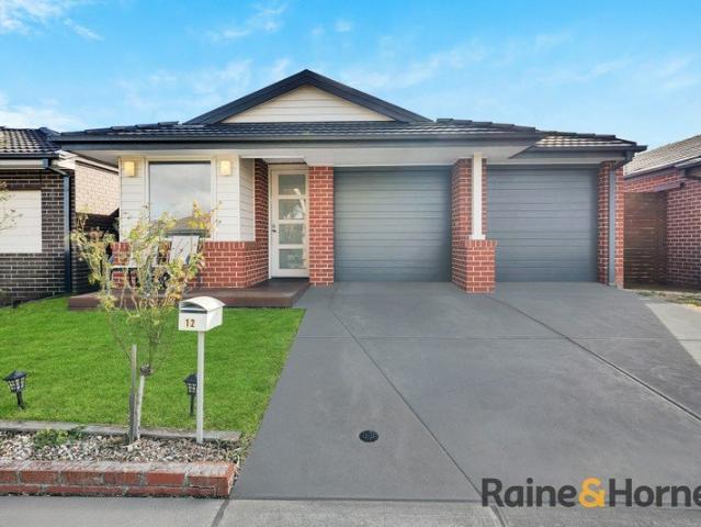 MODERN FAMILY LIVING IN CRANBOURNE EAST | 12 MOSSEY CRESCENT