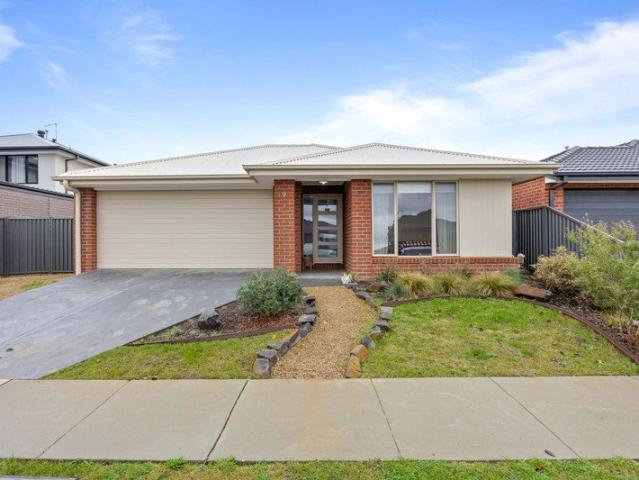 Modern Family Living in Sought After Alfredton