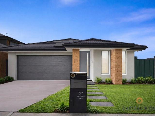 Modern Family Living on a Generous Corner Block