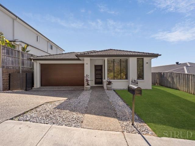 Modern Family Living + Pool & Privacy
