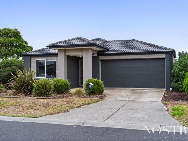 Modern family living set on a 509sqm approx. corner block !