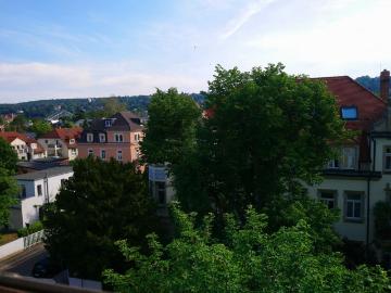 Berggartenstraße, Dresden, Blasewitz - Keller
