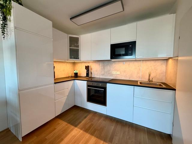 Modern First‑Occupancy Attic Apartment with Balcony – Walking Distance to VIC | U1 Access | All‑Inclusive | Garage Optional, Vienna Amsterdam Apartments for Rent