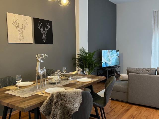Modern flat in the centre of Magdeburg fully equipped with terrace, Magdeburg Amsterdam Apartments for Rent
