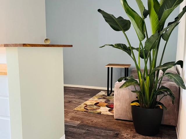 Modern flat in Düsseldorf, Dusseldorf Amsterdam Apartments for Rent