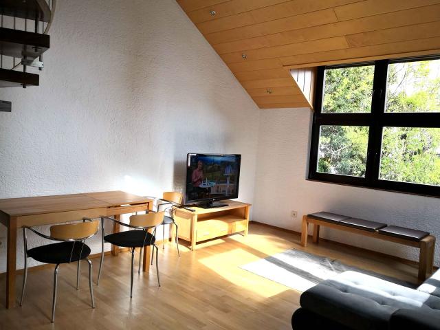 Modern flat in Mainz, Mainz Amsterdam Apartments for Rent