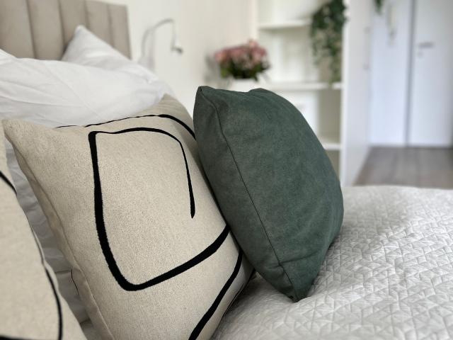 Modern, Fully Equipped Studio Apartment with Terrace on Trier’s Petrisberg, Trier Amsterdam Apartments for Rent
