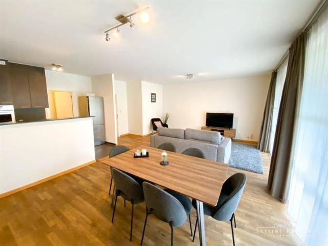 Modern furnished apartment