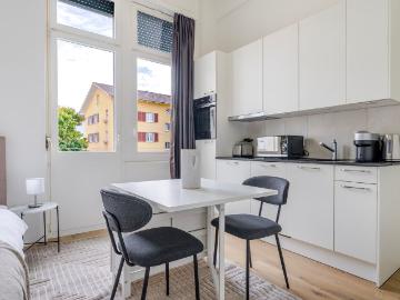 Modern Furnished Studio Apartment in Seebach, Zurich Amsterdam Apartments for Rent