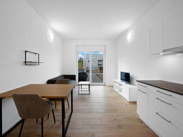 Modern furnished studio on the ground floor in Neukirch