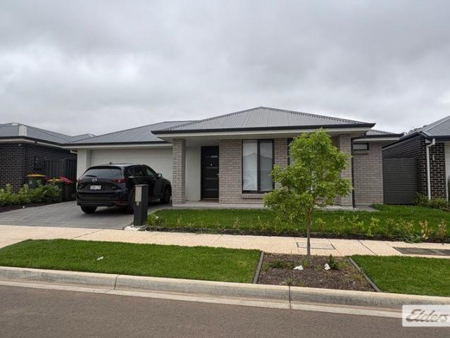 Modern Home in William Lakes Estate