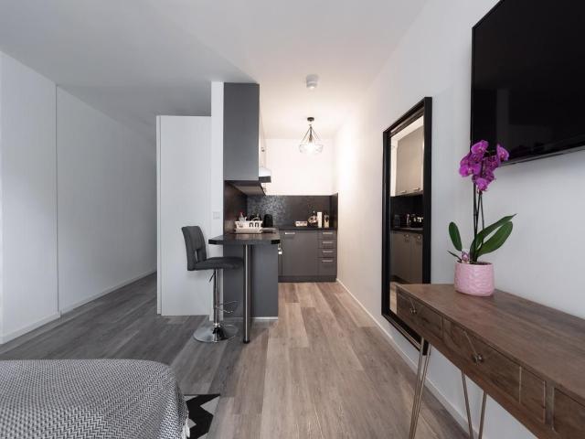 Modern home in Frankfurt am Main, Frankfurt Amsterdam Apartments for Rent
