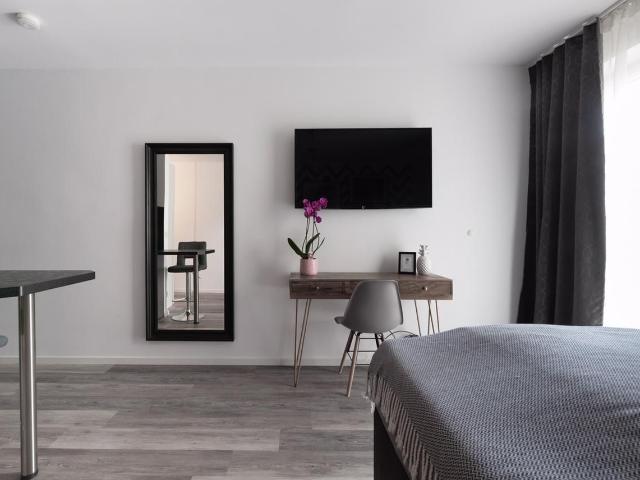 Modern home in Frankfurt am Main, Frankfurt Amsterdam Apartments for Rent