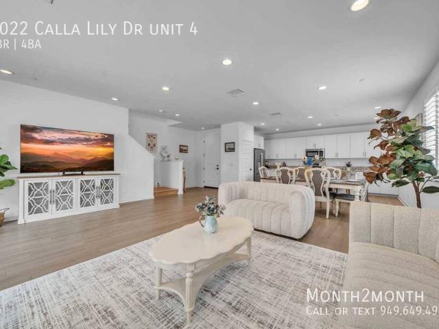Modern Haven on Calla Lily Dr
