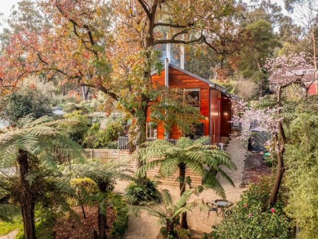 Modern Hills Living, Beautifully Settled In