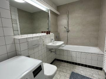 Modern one bedroom apt. right on the Elbe. Directly next to the Uni Hospital and the Max Planck Inst. for Molecular Cell Biol. and Genetics Dresden Amsterdam Apartments for Rent
