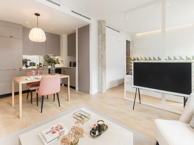 Modern one bedroom apartment