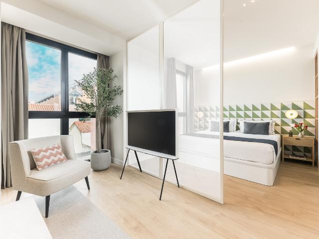 Modern one bedroom apartment
