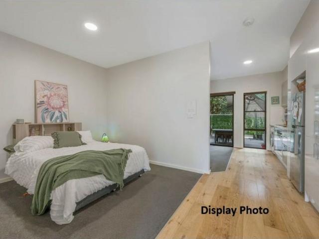 Modern One Bedroom/Studio Apartment