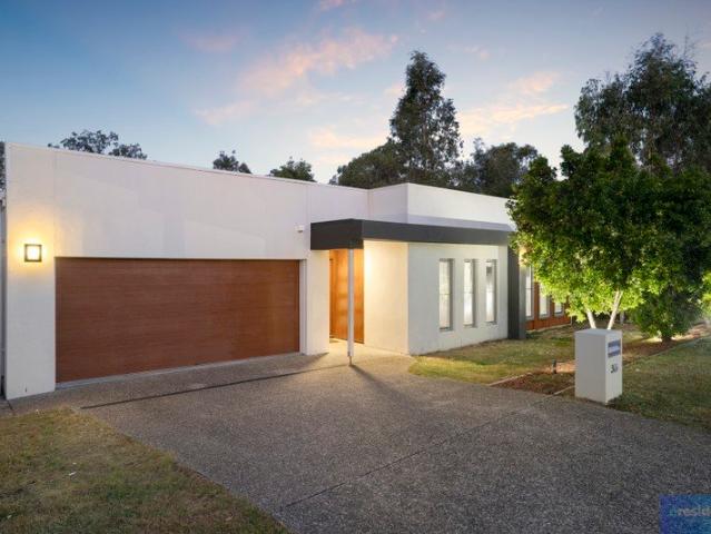 Modern Oasis With a Serene Bushland Backdrop