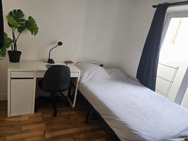 Modern & Lovely Studio with Shared Garden Zone 2