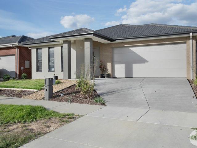 Modern Low Maintenance Family Home in Convenient Location
