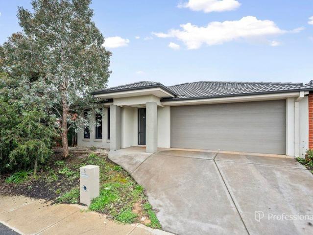 Modern Low Maintenance Living