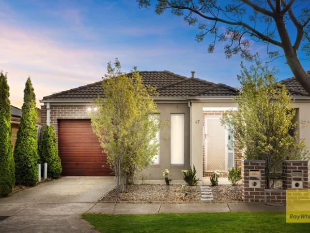 Modern, Low Maintenance Living in the Heart of Deer Park