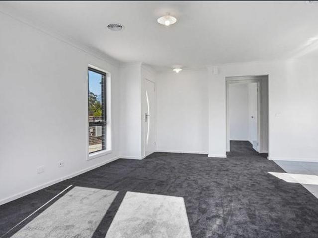 Modern & Low Maintenance