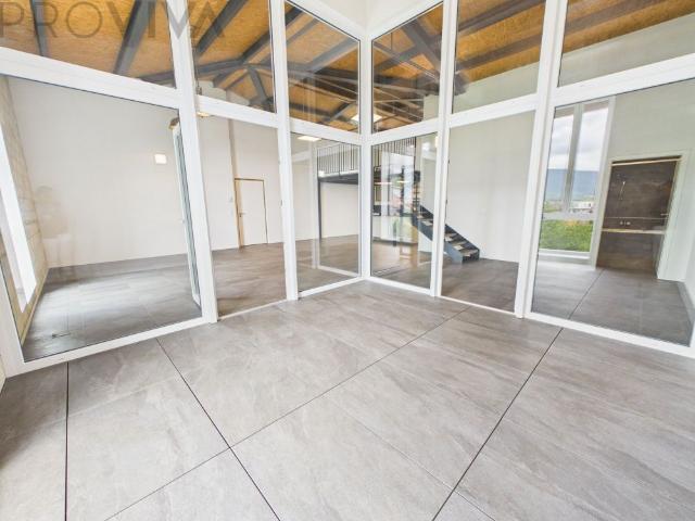 Modern loft apartment with gallery in Gampelen
