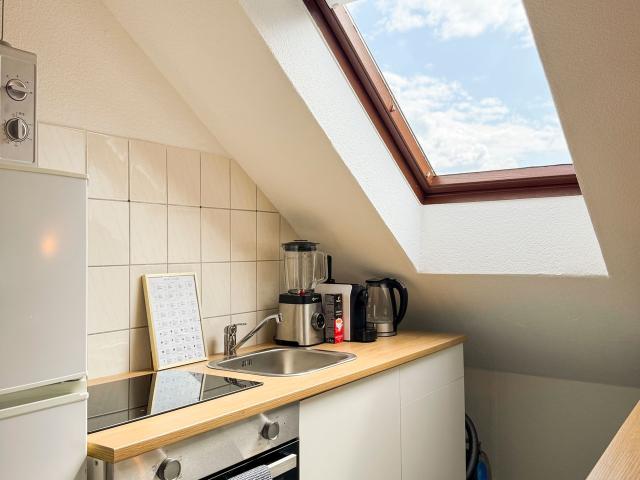 Modern Loft Studio – 49m², Balcony First Time Occupancy – Quiet Parkside Location in Duisburg Wanheim Angerhausen, Duisburg Amsterdam Apartments for Rent