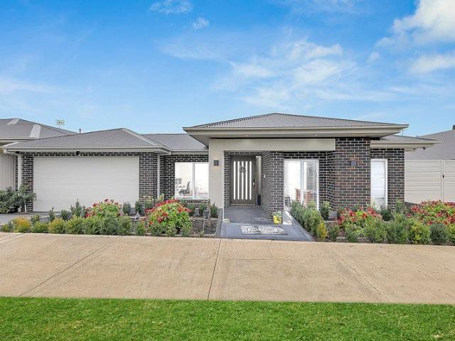 Modern Living, Maximum Appeal