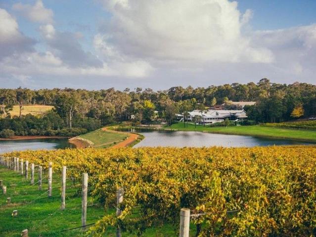 Modern Living Meets Country Calm