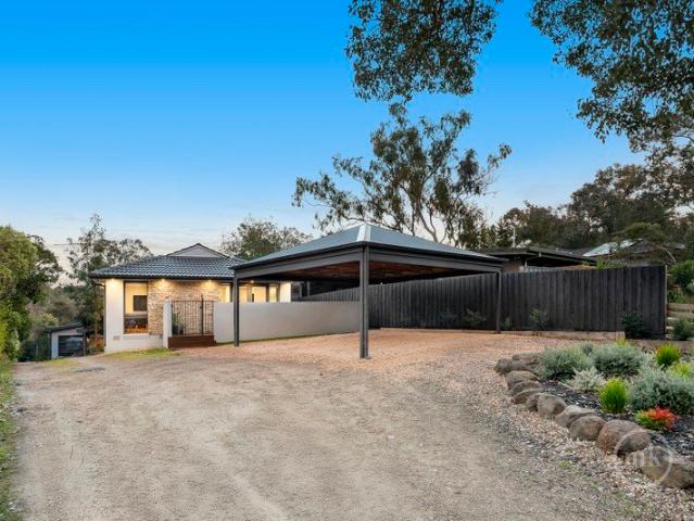 Modern Living Among the Gum Trees