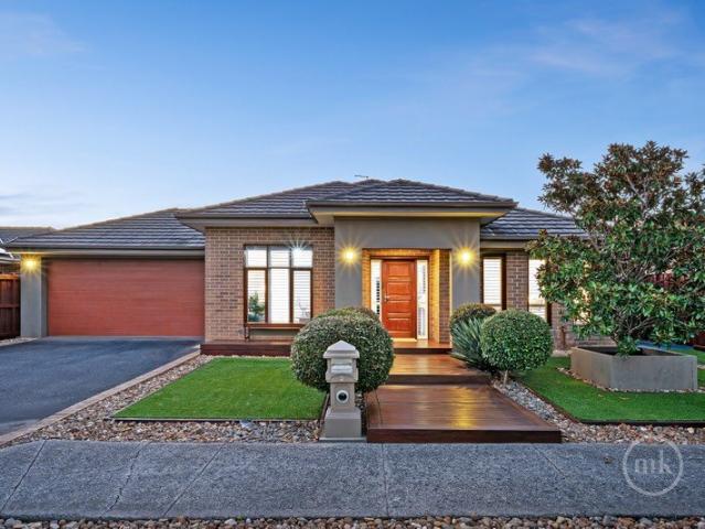 Modern Living, Effortless Entertaining