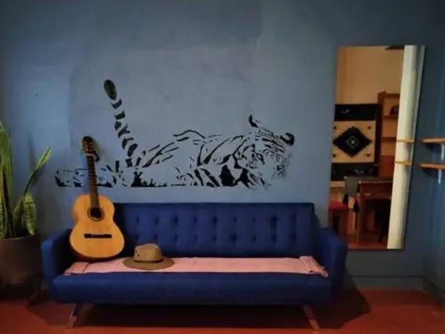Modern Living in Historic Oaxaca: Stylish Apartment for Rent