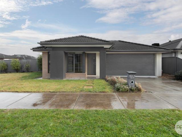 MODERN LIVING IN POPULAR ALFREDTON
