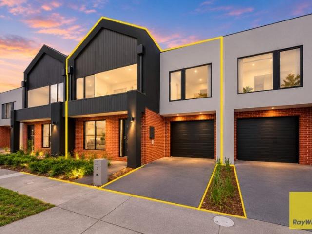Modern Living in the Heart of Alamanda | Newly Built Family Home