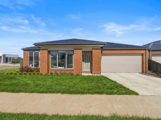 Modern Living in the Heart of Lucas