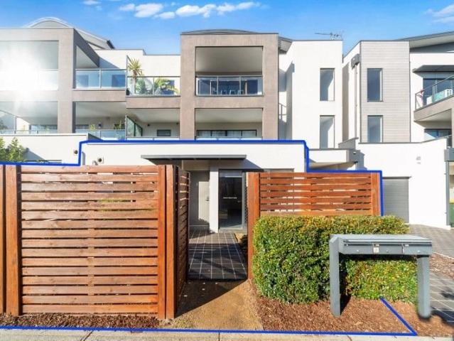 Modern Living with a Courtyard Lifestyle