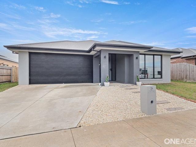 Modern Living with Space for Everyone