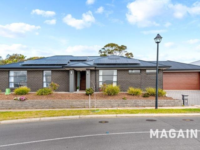 Modern, Light Filled & Move in ready