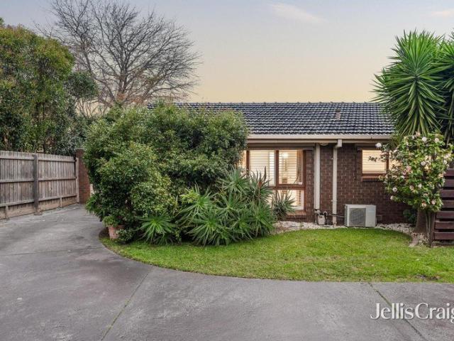 Modern, Light Filled Comfort in the Mount Waverley School Zone