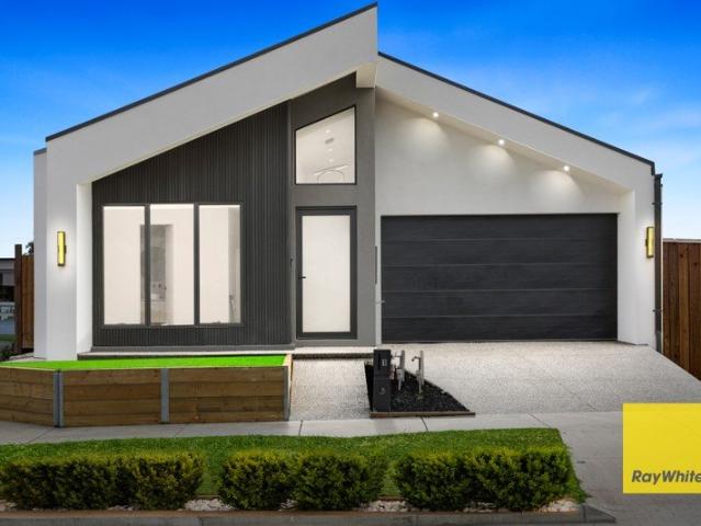 Modern Masterpiece!