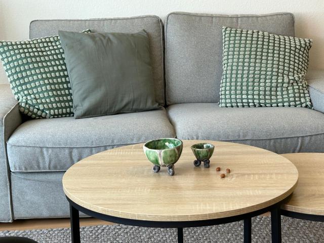 modern, new furnished 2 room apartment with balcony & garage parking space