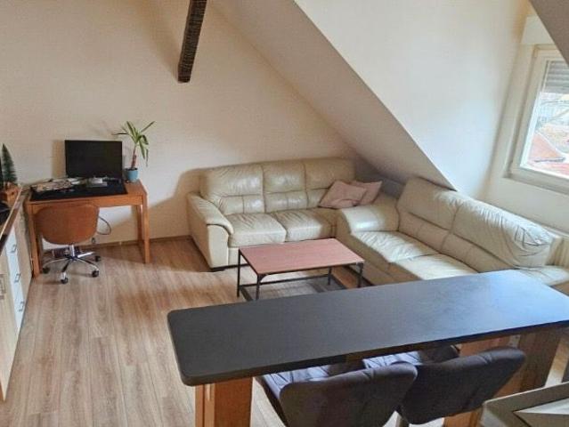 Modern & NEW studio in the heart of Mannheim