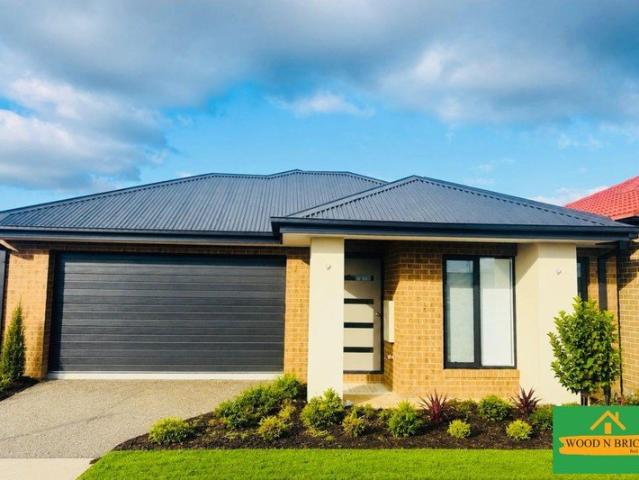 Modern Newly built Family Home in Officer VIC