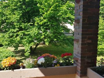 Claszeile, Düppel, Zehlendorf, Kleinmachnow, Spreewald, Bundesland Brandenburg