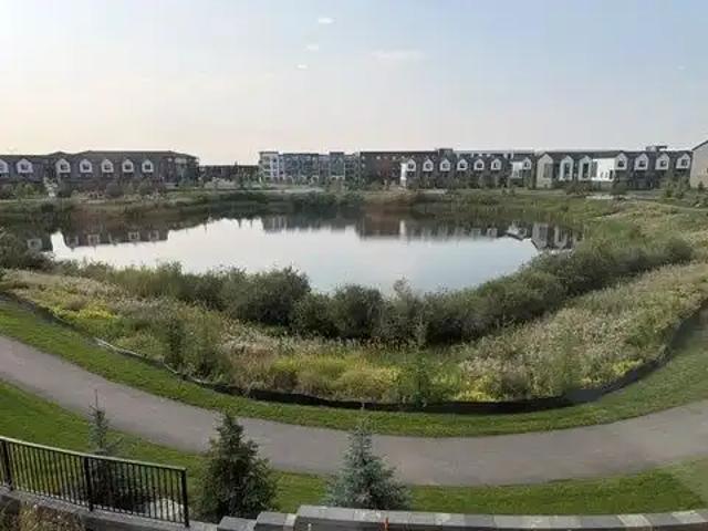 Modern Seton Townhome Living | Stylish 3 Bedroom Home Near South Health Campus