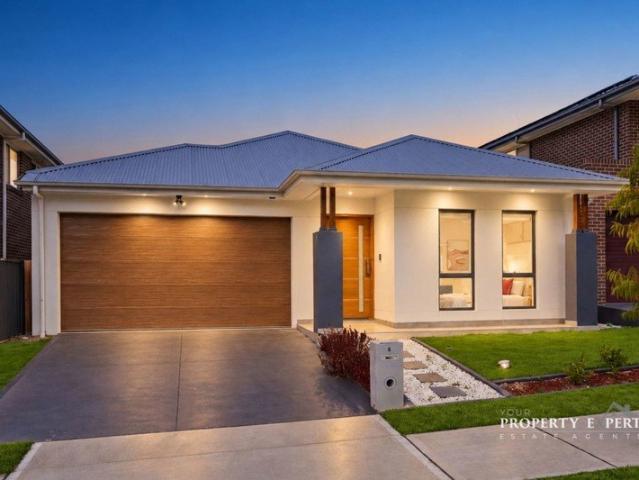 Modern Single Level Family Home Designed for Effortless Living